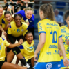 Bourg de Péage - Metz Handball : Attention aux piqûres !