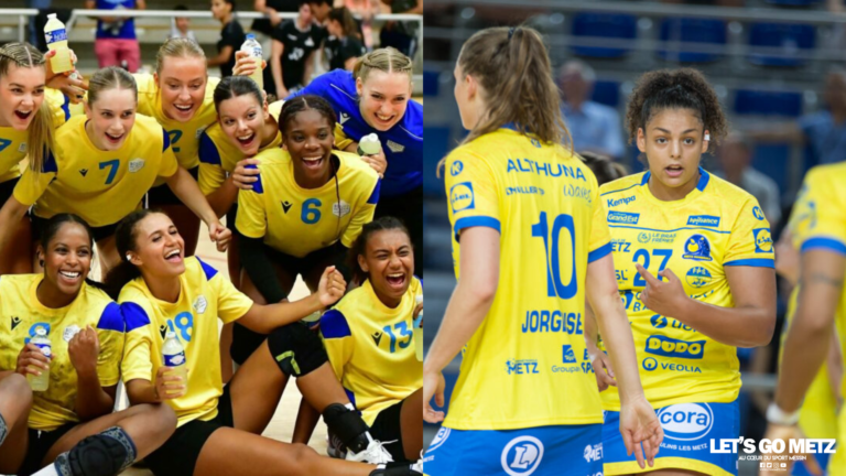 Bourg de Péage - Metz Handball : Attention aux piqûres !