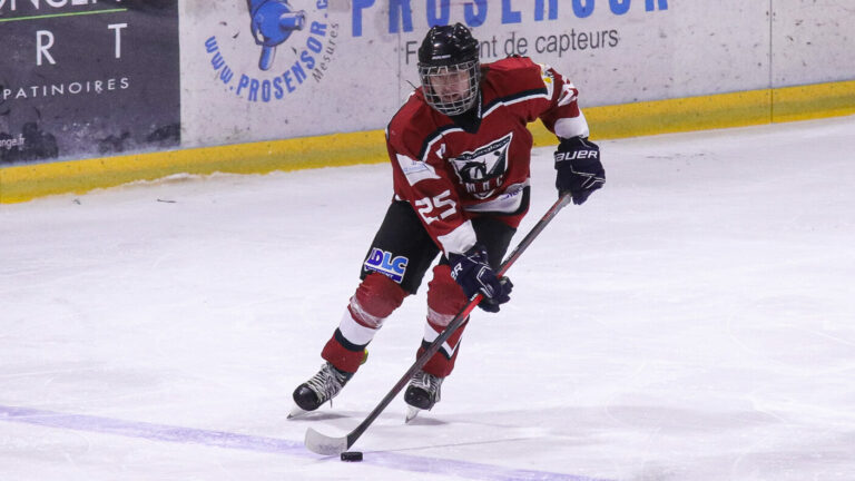 D3 : Metz Hockey Club fait tomber le leader Dijon !